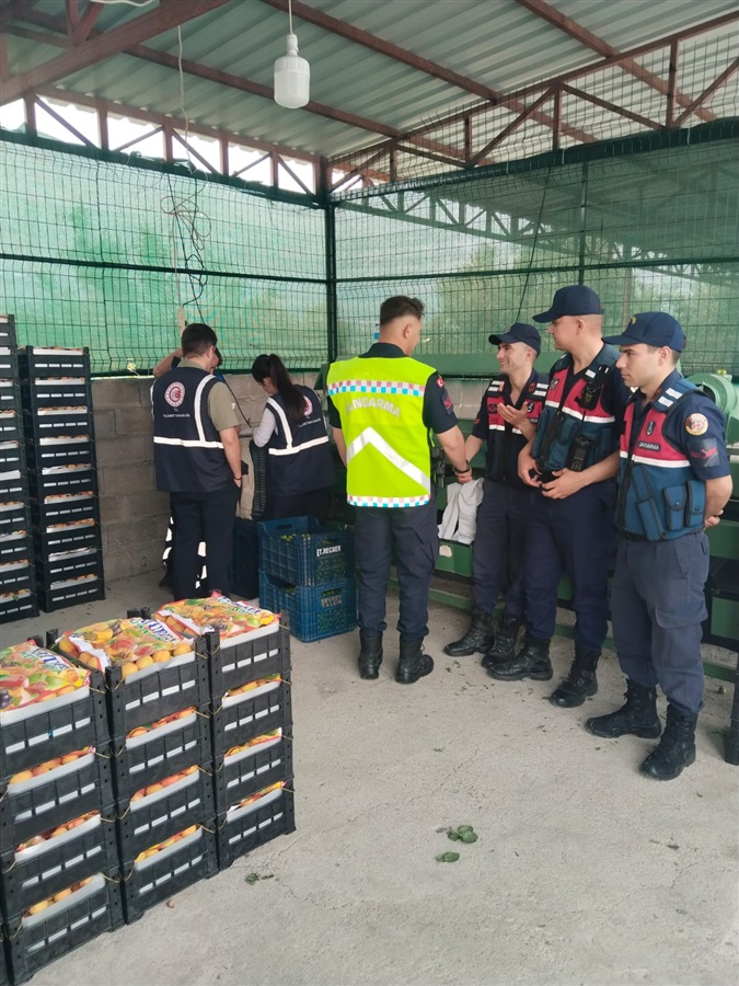 Mut Merkez Hali ve İşletmelere Yönelik Denetimler