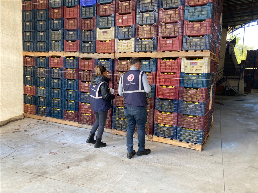 Soğuk Hava Depolarında Tutulan Limona Yönelik Denetim